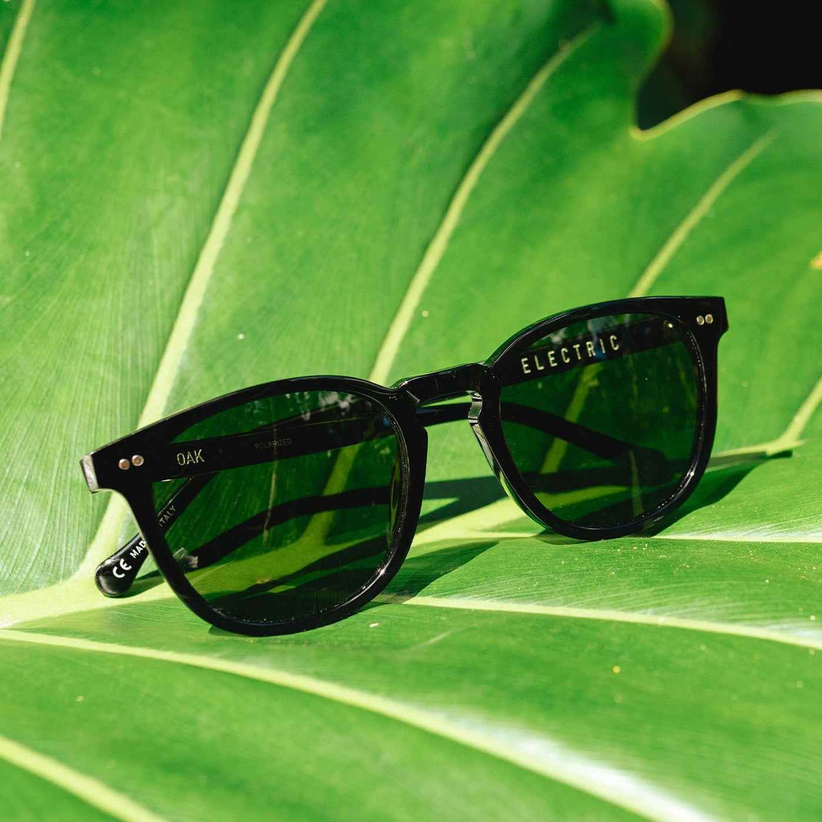 Electric Oak Gloss Black Polarized - Grua Surf Co.