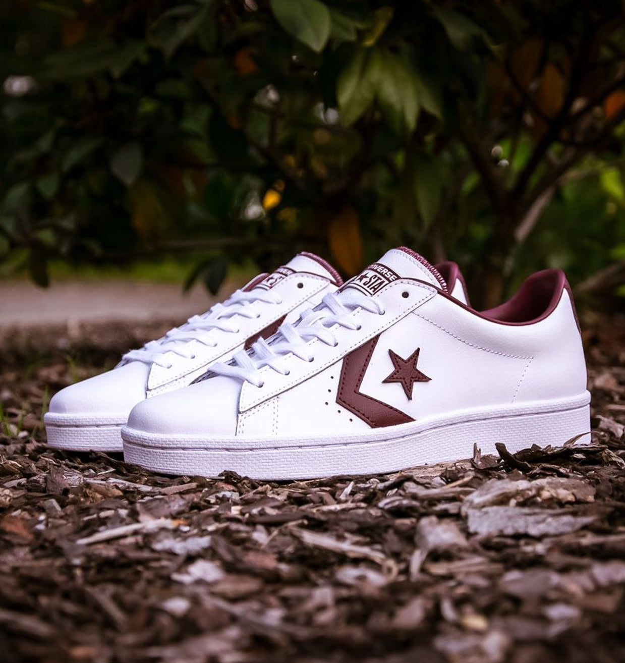 Pro leather cheap 76 converse