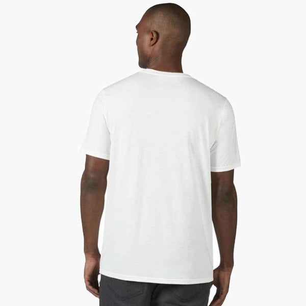 Palm Scene - Grua Surf Co.