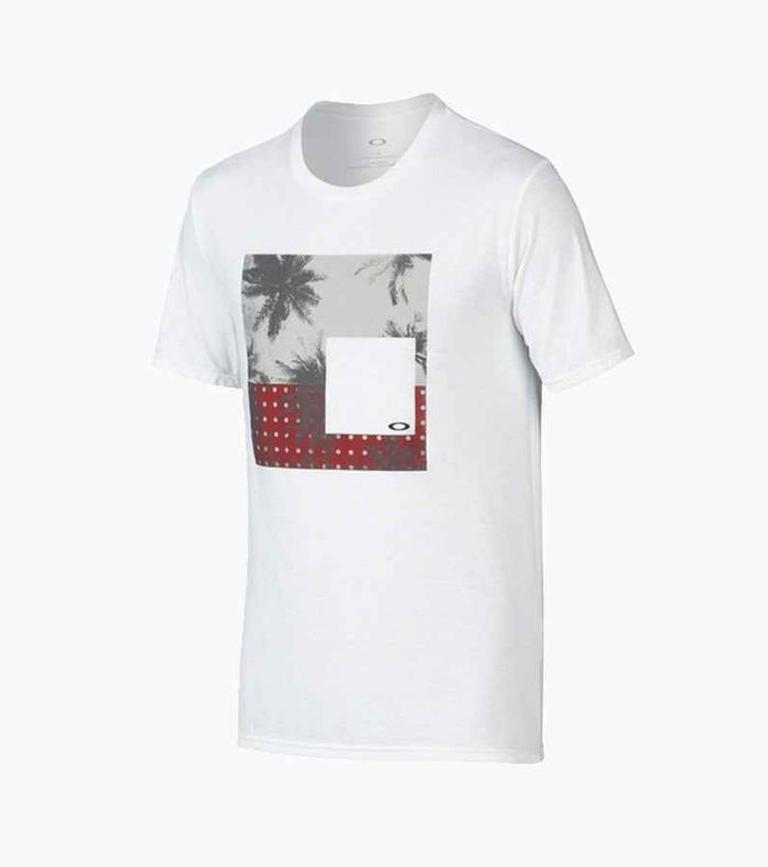 Palm Scene