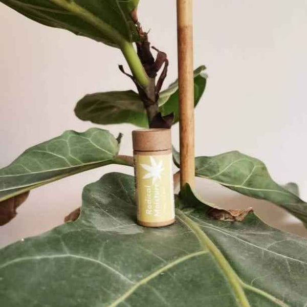 Suntribe Natural Hemp Lip Balm Radical Moisture - Grua Surf Co.