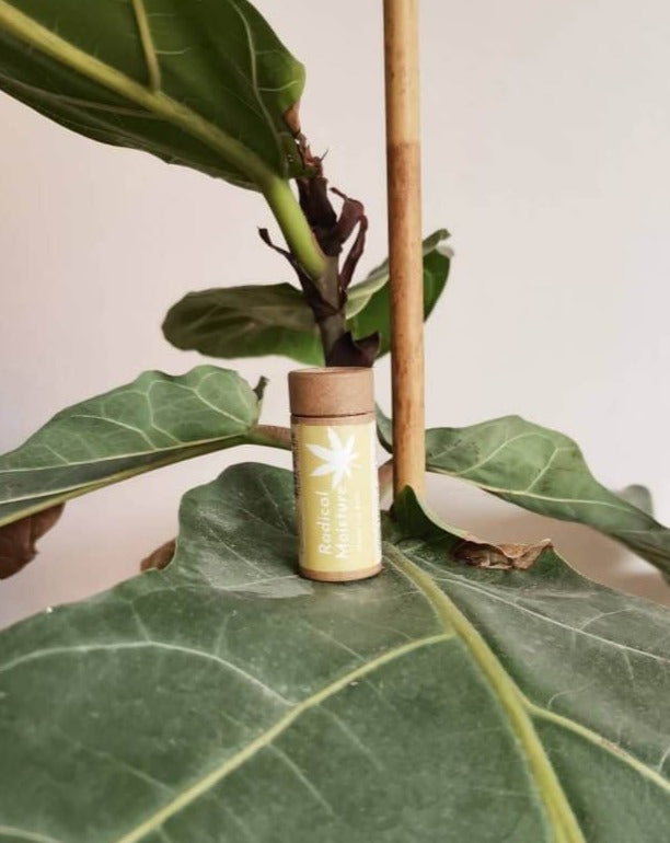 Natural Hemp Lip Balm Radical Moisture