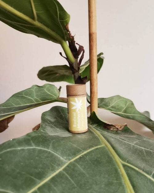 Natural Hemp Lip Balm Radical Moisture